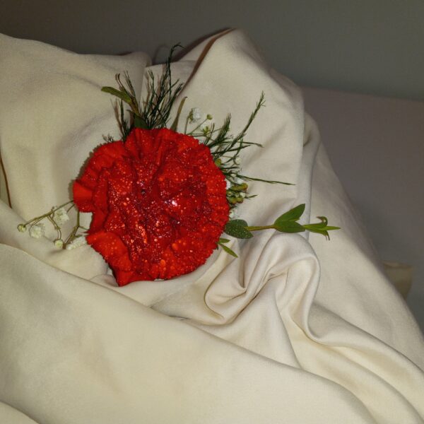 Red Carnation Boutonniere