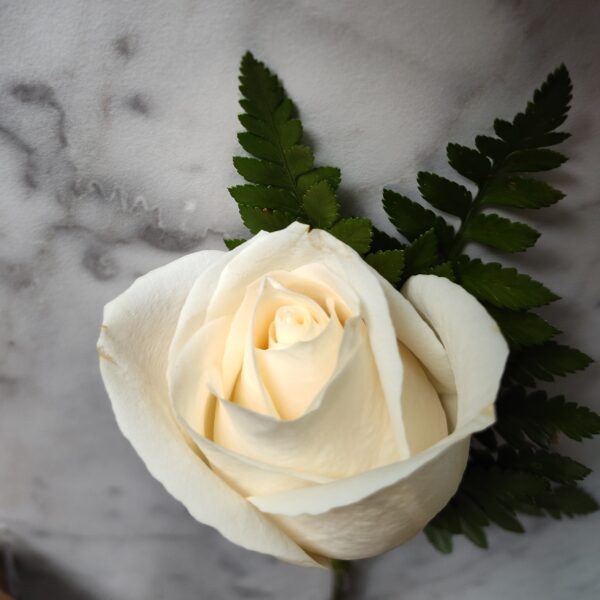 White Rose Boutonniere
