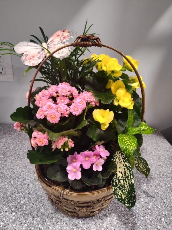 Spring Blooming Dish Garden