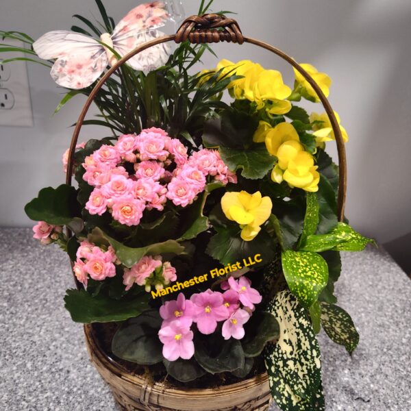Spring Blooming Dish Garden