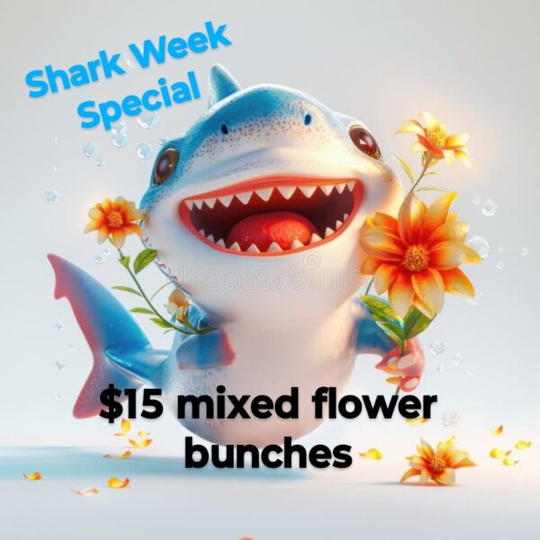 Shark Week Mixed Flower Bunch- Wrapped