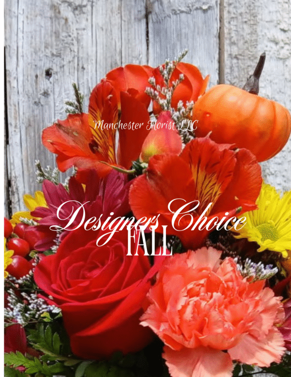 Designers Choice Fall- Standard