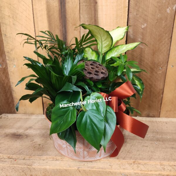 Dish Garden- 10" Tin