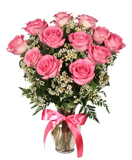 1 Dozen Pink Roses