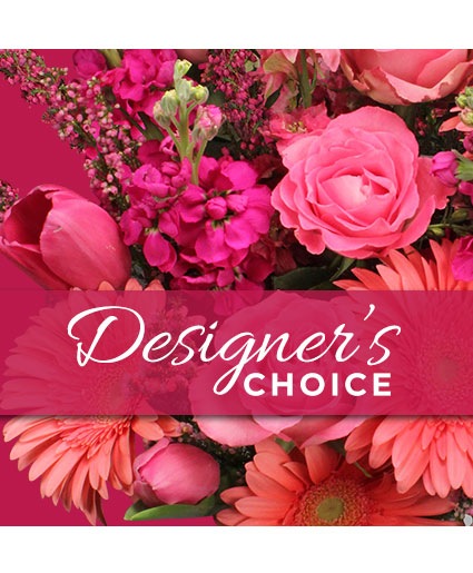 Designers Choice