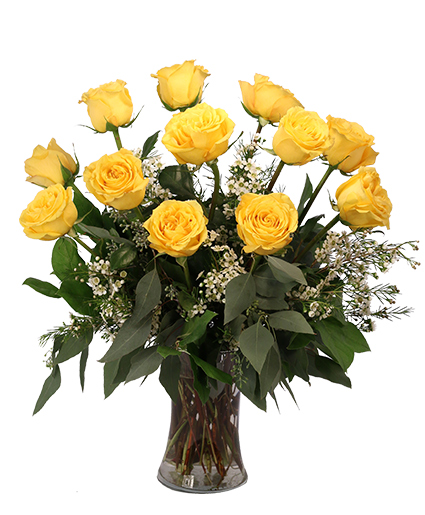 1 Dozen Yellow Roses