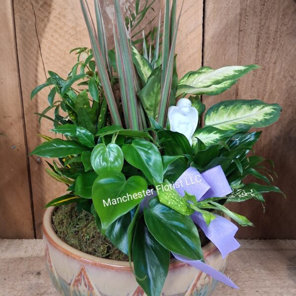 Dish Garden- Ceramic 12"