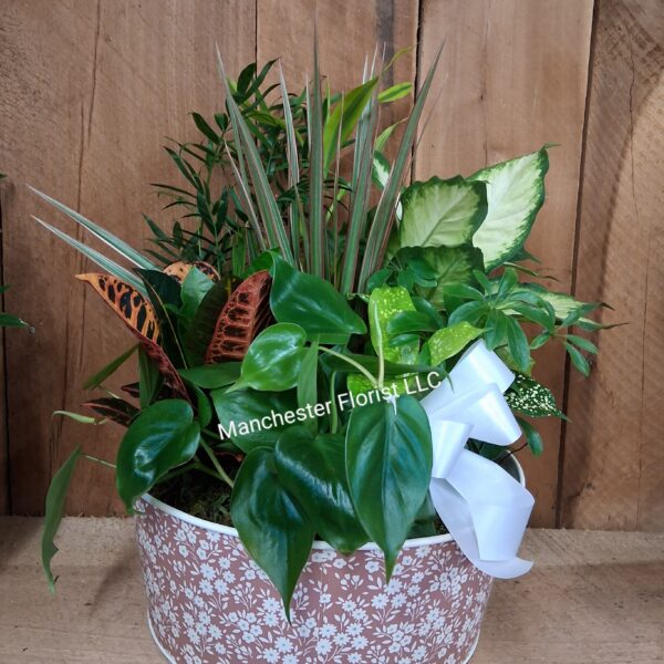 Dish Garden- 12" Tin