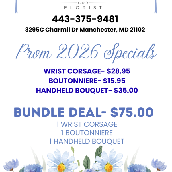 Prom 2026 Bundle