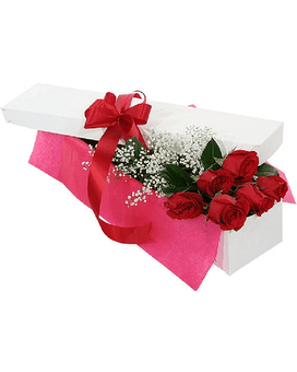 1 Dozen Boxed Red Roses
