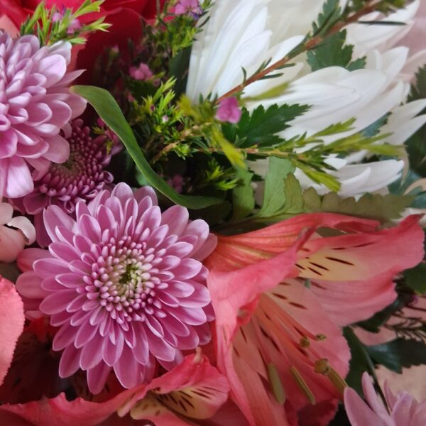 Designers Choice Vase- Standard